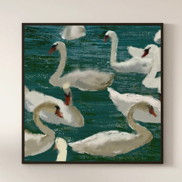Swans